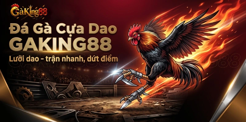Đá gà cựa dao GAKING88 lưỡi dao sắc gốc Sabong Philippines trận nhanh