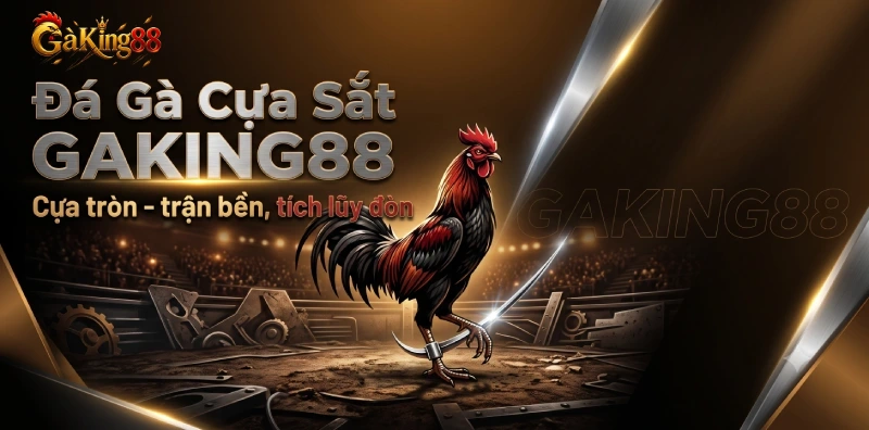 Đá Gà Cựa Sắt GAKING88 - Loại Cựa Tròn Và Cách Xem 1 Đá gà cựa sắt GAKING88 loại cựa tròn kim loại trận thiên sức bền