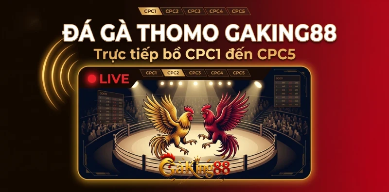 Đá gà Thomo GAKING88 trực tiếp trường gà Svay Rieng Campuchia bồ CPC