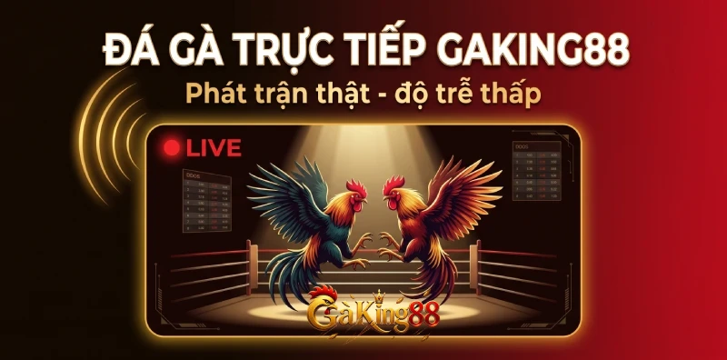 Đá gà trực tiếp GAKING88 phát trận thật độ trễ thấp từ trường gà Thomo