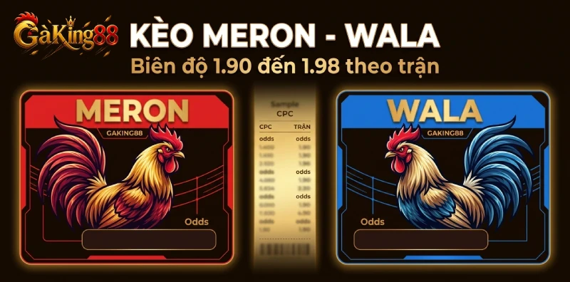 Kèo Meron và Wala trong đá gà Thomo GAKING88 biên độ 1.90 đến 1.98