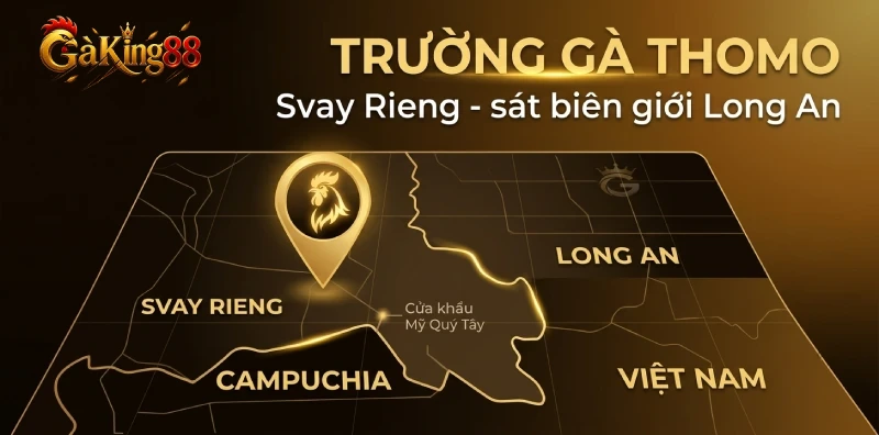 Trường gà Thomo GAKING88 tại Svay Rieng Campuchia sát biên giới Long An