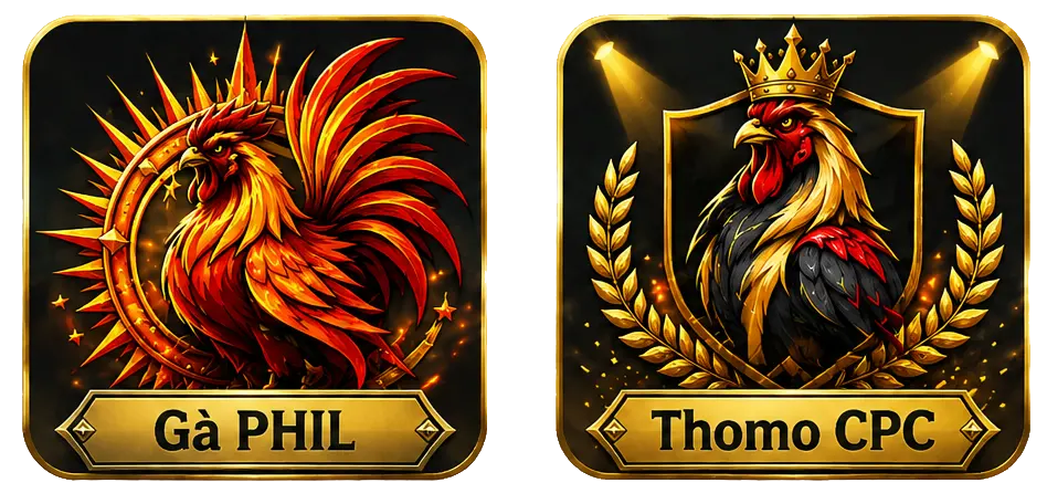 GAKING88 - Link Đá Gà Trực Tiếp Thomo Combo CPC1 đến CPC5 23 các cựa đá gà trực tiếp gaking88