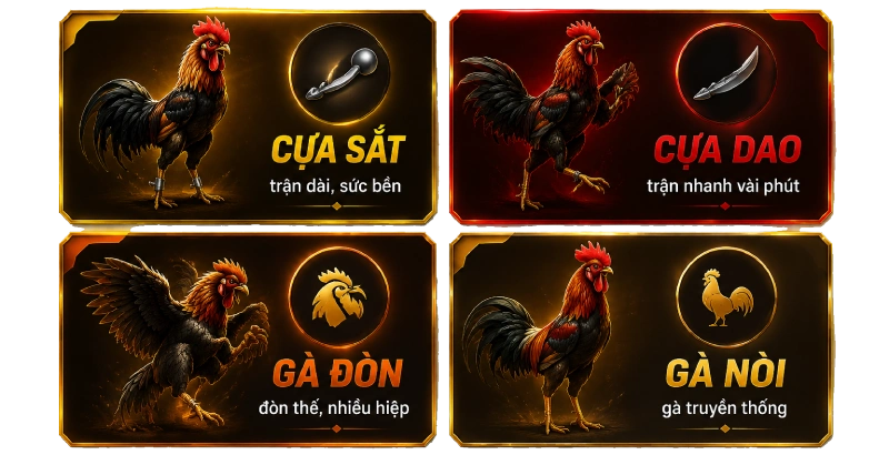 Các loại hình đá gà GAKING88 cựa sắt cựa dao gà đòn và gà nòi