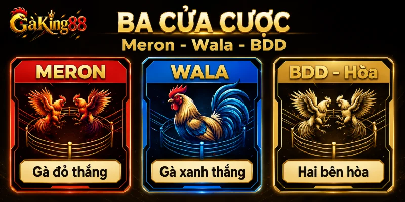 Ba cửa cược Meron Wala BDD trong đá gà trực tiếp GAKING88