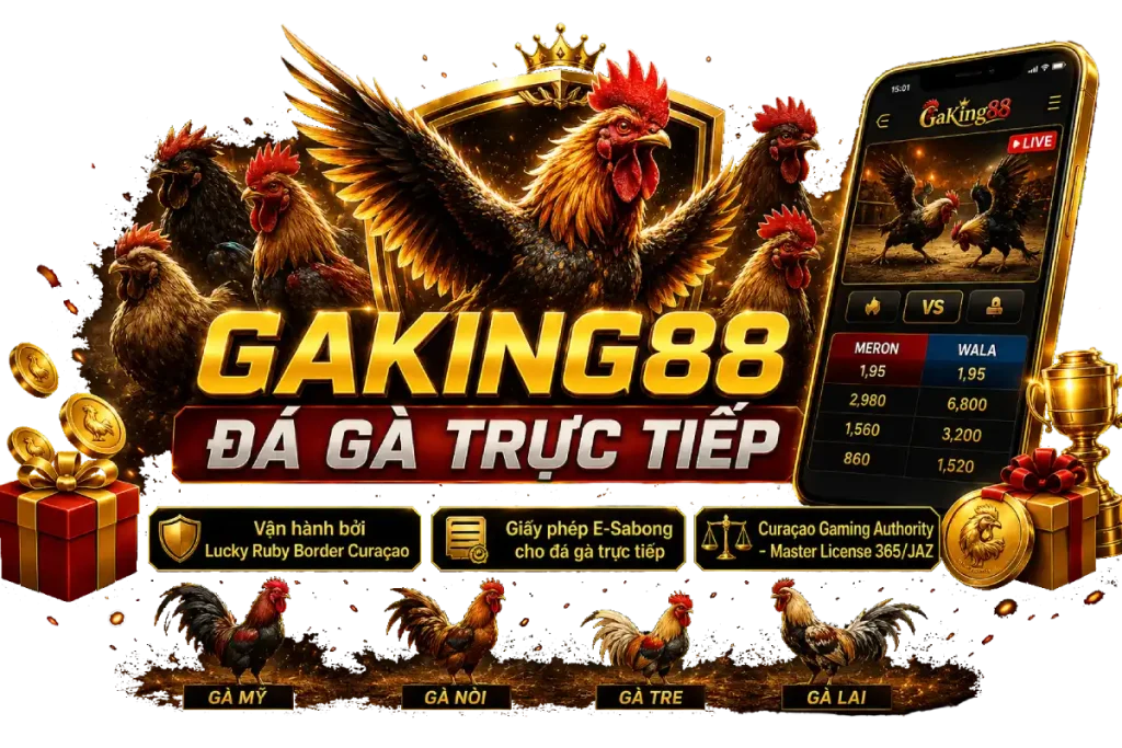 GAKING88 - Link Đá Gà Trực Tiếp Thomo Combo CPC1 đến CPC5 1 GAKING 88 đá gà trực tiếp thomo combo CPC1-5