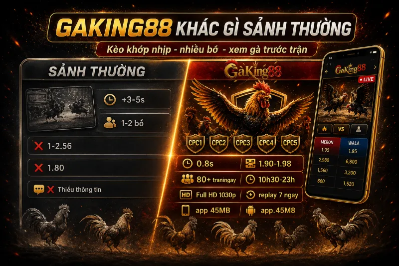 GAKING88 - Link Đá Gà Trực Tiếp Thomo Combo CPC1 đến CPC5 25 GAKING88 khác sảnh đá gà thông thường độ trễ thấp nhiều bồ CPC và xem gà trước trận