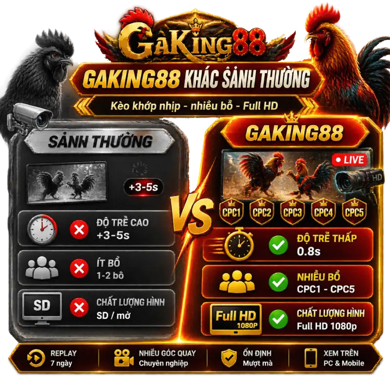 Đá gà GAKING88 khác trường gà thông thường độ trễ thấp nhiều bồ Full HD