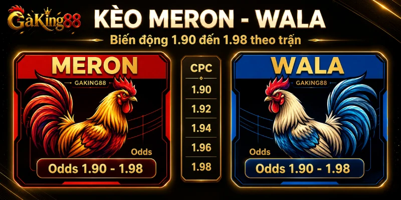 Các bồ CPC1 đến CPC5 trong đá gà Thomo GAKING88 gắn casino 67 888 999